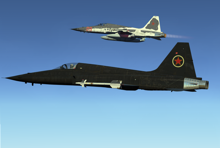 Những loại tên lửa F-5E có thể mang bao gồm 4 tên lửa đối không tầm ngắn AIM-9 hoặc tầm xa AIM-120; 2 tên lửa không đối đất AGM-65 Maverick.