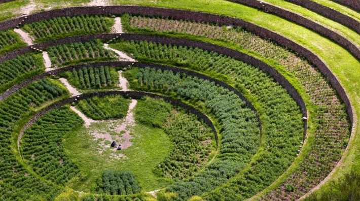 Sacred Valley còn sở hữu những thửa ruộng bậc thang lớn nhất nằm ở trung tâm có kích thước rất lớn, và độ sâu đi xuống khoảng 150 mét, dẫn đến một cái đáy tròn để thoát nước, nhằm ngăn chặn tình trạng lũ lụt. Ảnh: 2pat.com.