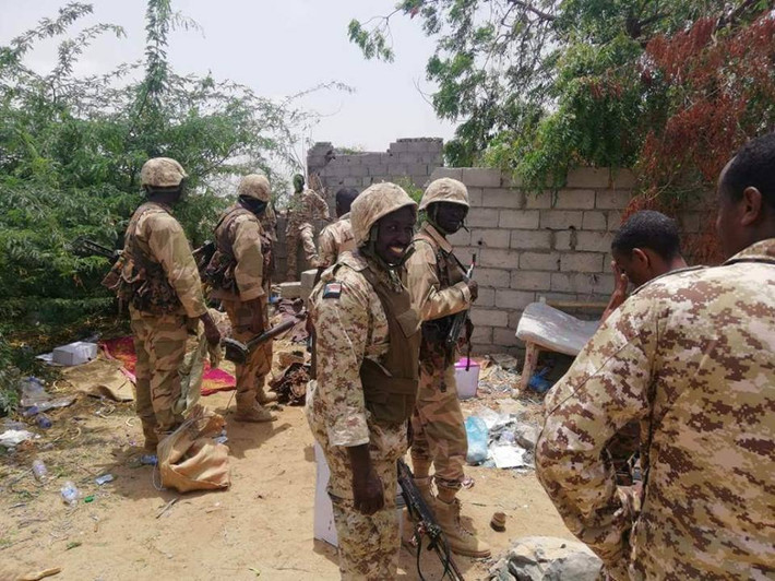 Còn tham chiến trực chiến trên thực địa là lực lượng bộ binh của quân đội Sudan, những binh lính này bị các tay súng Houthi gọi là "lính đánh thuê" cho Saudi Arabia.