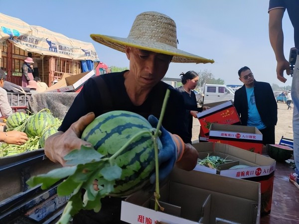 Vì những kỹ năng thử dưa hấu tuyệt vời này ngoài kinh nghiệm dày dạn, còn phải có những thứ thuộc về bẩm sinh. Đơn cử như là việc thẩm âm, mỗi âm phát ra khi gõ hay cách dùng lực gõ cũng có những khác biệt, tuy rất nhỏ. Dựa vào đó, họ có thể "nhìn ra" quả dưa hấu đã chín, chín quá hay rỗng ruột v.v.. mà không phải bổ dưa ra, với độ chính xác cao hơn 90%.