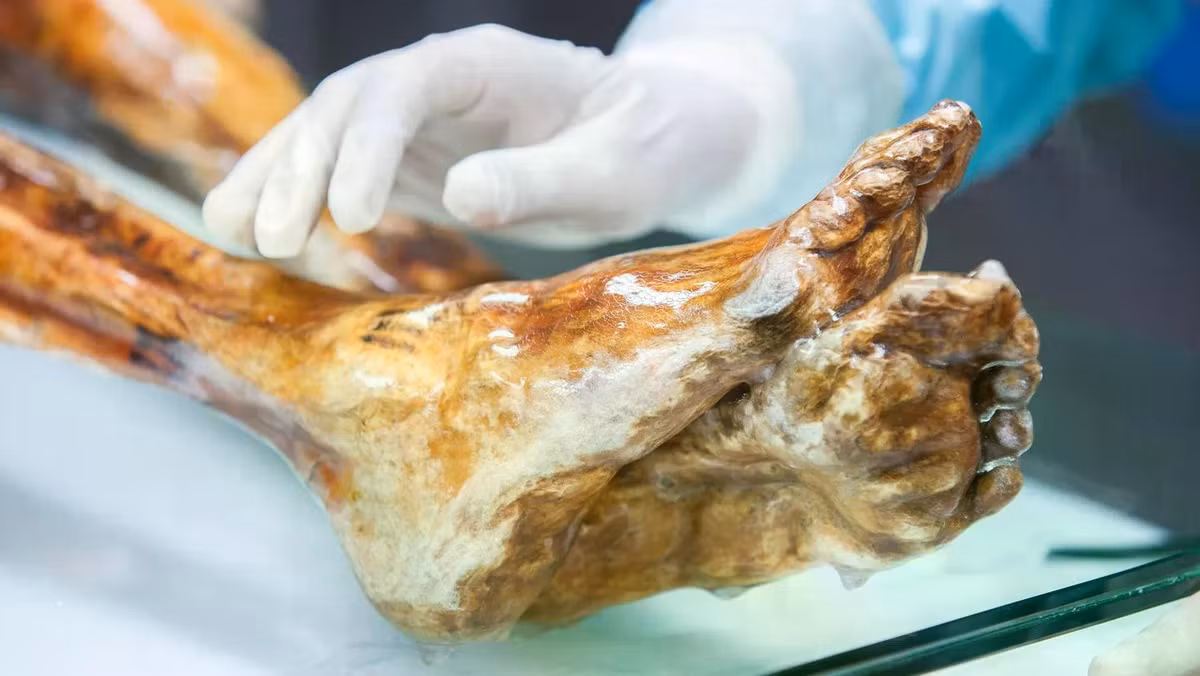 060226-tm-otzi-main.jpg