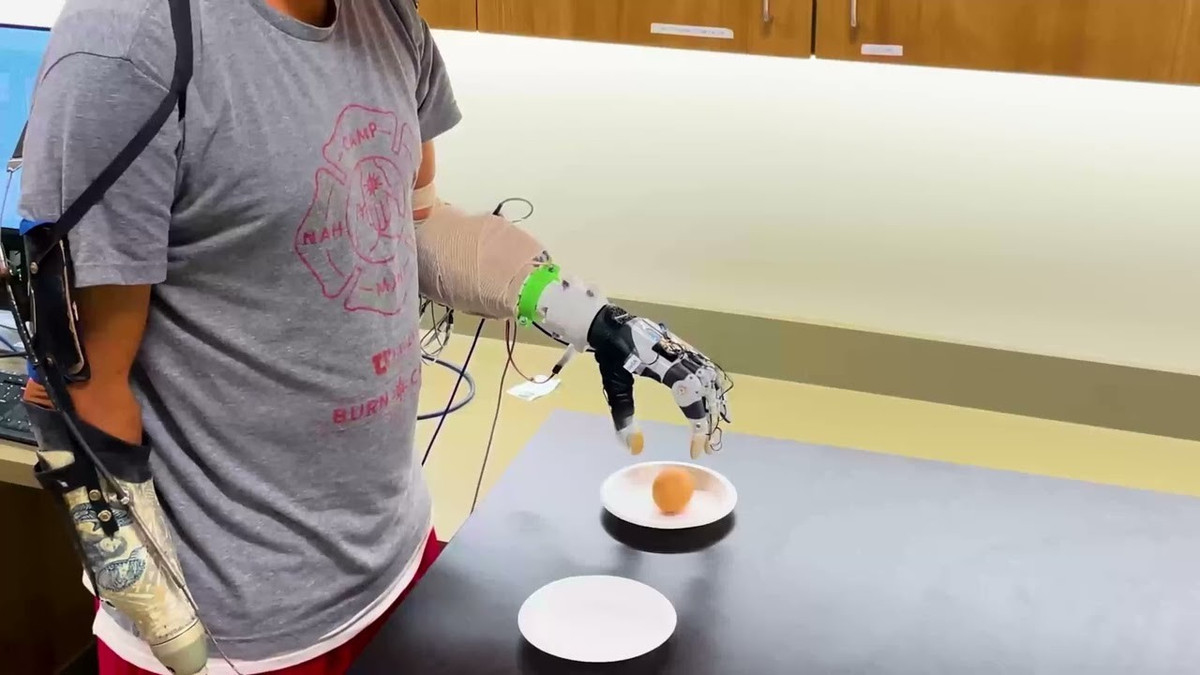 Dữ liệu từ các cảm biến này sau đó được xử lý bởi một mạng nơ-ron nhân tạo (AI). Hệ thống AI này đã được huấn luyện dựa trên hàng loạt dữ liệu về chuyển động cầm nắm tự nhiên của con người. Nhờ đó, bàn tay robot có thể tự động điều chỉnh vị trí từng ngón tay một cách độc lập nhưng vẫn phối hợp nhịp nhàng để tạo ra tư thế cầm nắm chắc chắn nhất cho từng vật thể cụ thể.