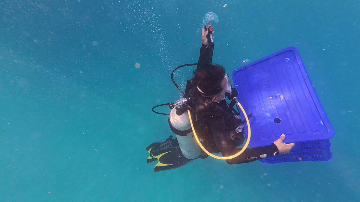 Việc thả những cá thể mang trứng có ý nghĩa to lớn trong việc tái tạo nguồn lợi, bảo tồn nguồn gen quý, hướng tới một "đại dương bền vững".