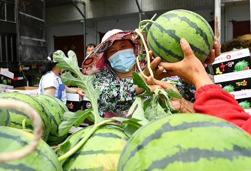 Có thể thấy, dù hoạt động ở bất cứ lĩnh vực nào, việc nâng cao kỹ năng bản thân là hết sức quan trọng. Một khi đã trở thành chuyên gia trong một lĩnh vực, bạn hoàn toàn có thể tạo ra giá trị cho bản thân, qua đó nâng cao thu nhập.