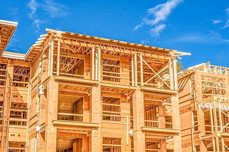 “Về lý thuyết, chúng tôi có thể dùng bất kỳ loại gỗ nào”, ông Lau nói. “Trên thực tế, chúng tôi đã thử 19 loại gỗ khác nhau, kể cả tre, và tất cả đều thành công”.