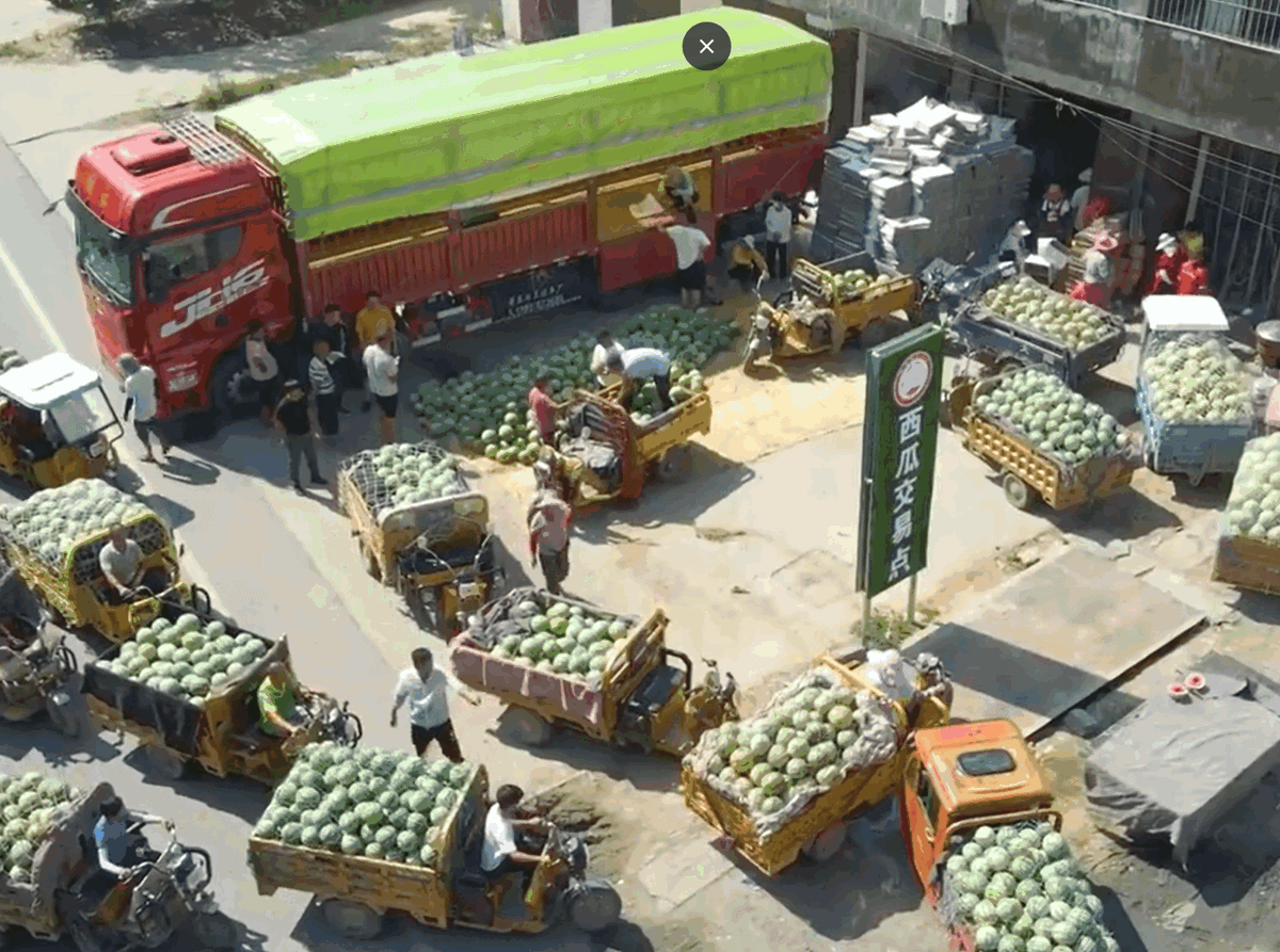 Vào tháng 5, mùa cao điểm bán dưa hấu đã đến. Tại chợ dưa hấu ở thị trấn Nam Vương Điếm, quận Định Đào, thành phố Hà Trạch (Sơn Đông, Trung Quốc) không khí mua bán trở nên tấp nập hơn bao giờ hết.