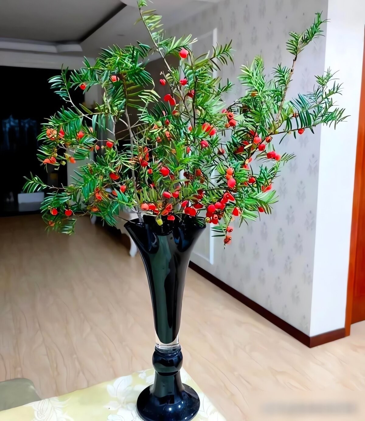 Ý nghĩa: Với tuổi thọ có thể lên đến hàng nghìn năm, thông đỏ tượng trưng cho sức khỏe, trường thọ, sự vững bền và may mắn.