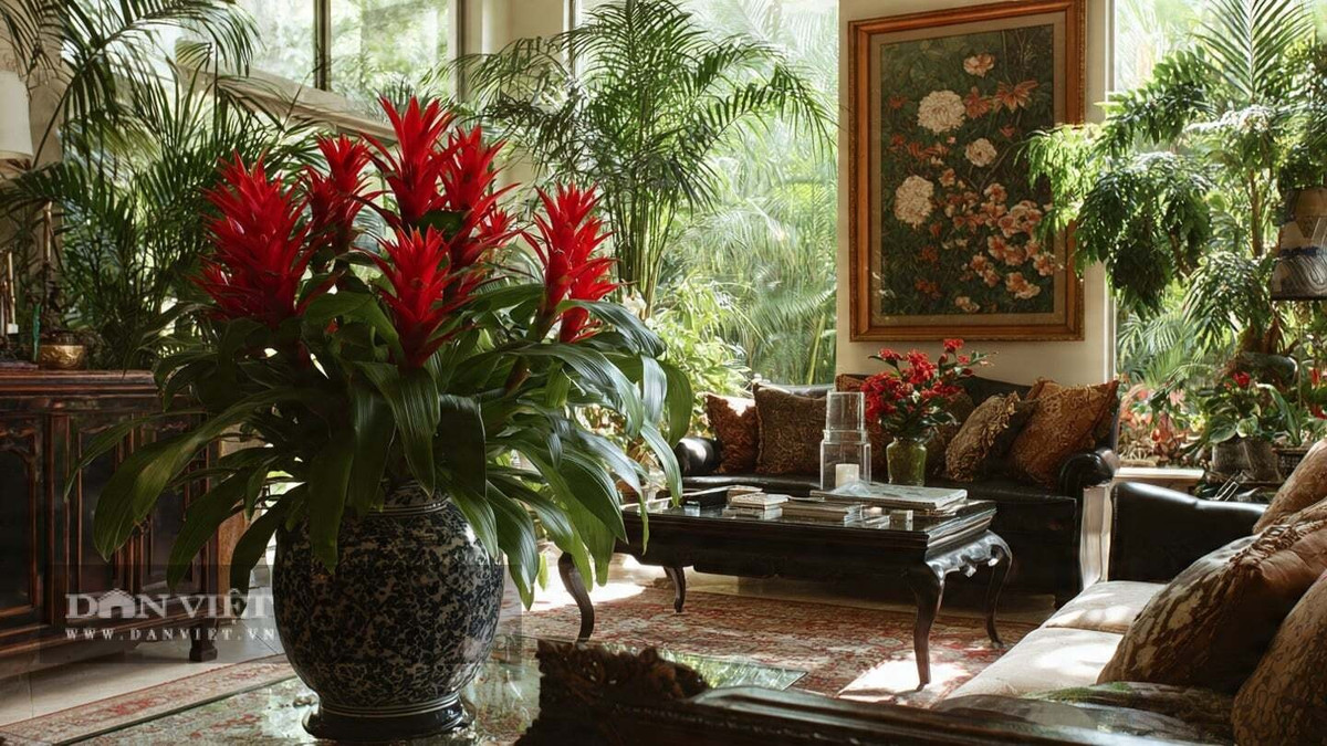 View - Bốn cây cảnh rực rỡ giúp kích hoạt vận đỏ năm 2026 | Báo Tri thức và Cuộc sống - TIN TỨC PHỔ BIẾN KIẾN THỨC 24H