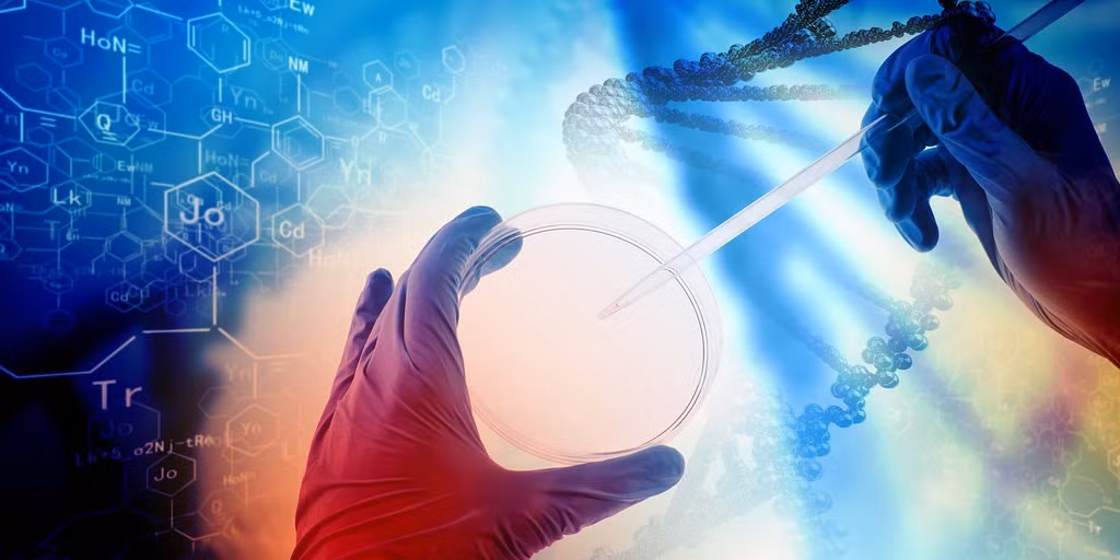 Về các khía cạnh pháp lý và đạo đức, nhóm nghiên cứu cho biết đã tổ chức nhiều buổi trao đổi với chính quyền tỉnh Quảng Đông và đã nộp các đề xuất chính sách liên quan đến công nghệ này.