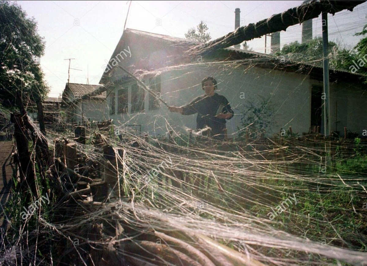 Không quân Hoa Kỳ đã sử dụng CBU-94, được thả bởi F-117 Nighthawks , trong cuộc ném bom Nam Tư của NATO vào ngày 2/5/1999, nơi nó đã vô hiệu hóa hơn 70% nguồn cung cấp điện lưới quốc gia. Nguồn cung cấp đã được khôi phục trong vòng chưa đầy 24 giờ mặc dù sau đó đã bị gián đoạn bởi một cuộc tấn công khác vào ngày 7/5/1999.