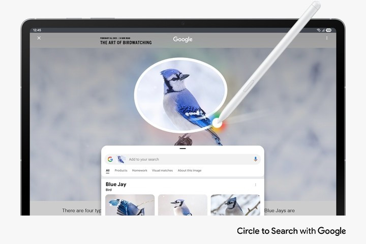 Máy cũng được tích hợp một số tính năng Galaxy AI giới hạn như Khoanh tròn để tìm kiếm (Circle to Search), Hỗ trợ viết tay, và Giải toán.