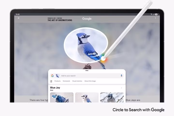 Máy cũng được tích hợp một số tính năng Galaxy AI giới hạn như Khoanh tròn để tìm kiếm (Circle to Search), Hỗ trợ viết tay, và Giải toán.