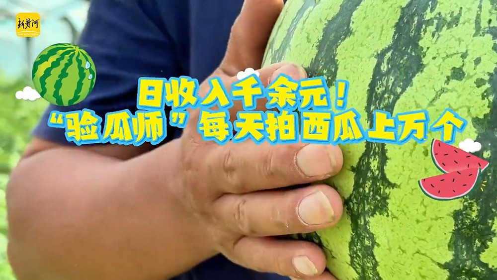 Tại đây, đã hình thành một nghề độc lạ, đó là nghề kiểm tra dưa hấu. Được gọi với cái tên gần gũi là "nội soi" dưa hoặc "thanh tra dưa". Nhu cầu lao động của nghề này rất lớn và thu nhập cũng rất cao nhưng luôn thiếu người bởi không phải ai cũng làm được.