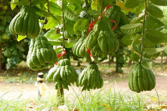 Khu vực đầu giường