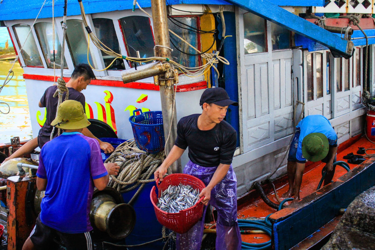 Với ngư dân, chuyến ra khơi đầu năm không chỉ mang ý nghĩa mưu sinh mà còn là “lấy lộc biển”, cầu mong một năm thuận buồm xuôi gió.