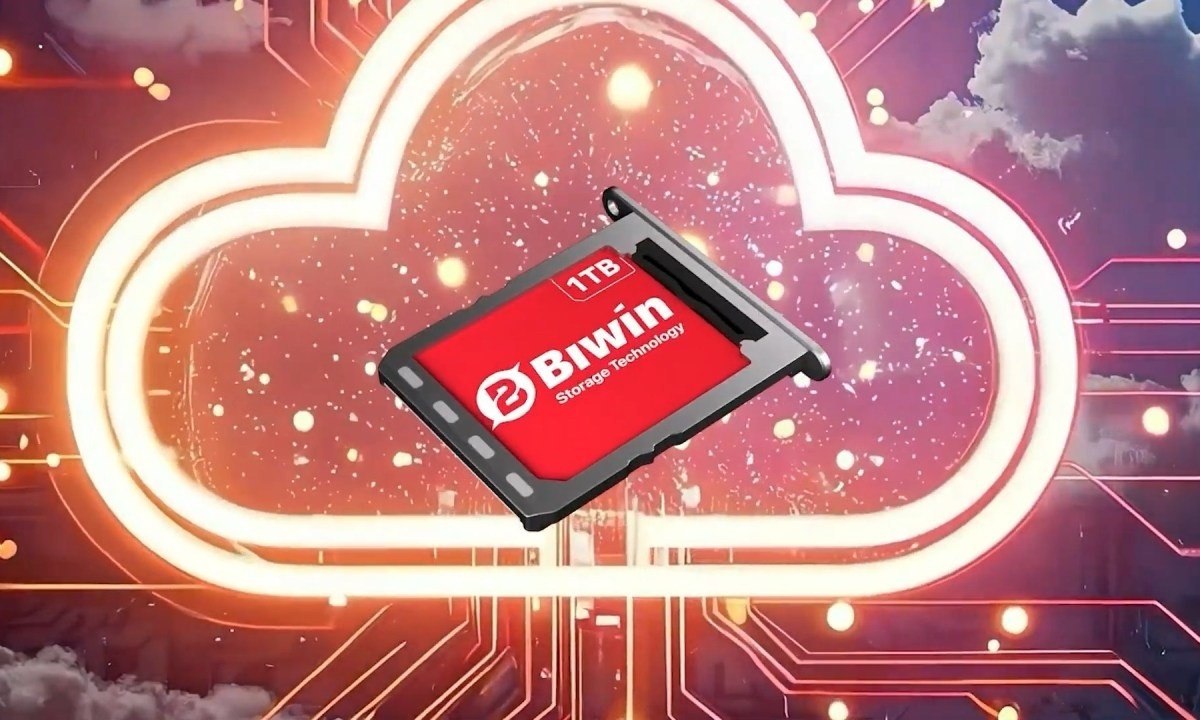 Không rõ liệu Mini SSD của Biwin có phải là một tiêu chuẩn thực sự mà các nhà sản xuất thiết bị lưu trữ khác có thể dễ dàng áp dụng hay không. Tuy nhiên, công ty đang tiếp thị sản phẩm này cho máy tính xách tay, máy tính bảng, điện thoại, máy ảnh và nhiều thiết bị khác, với khe cắm riêng hoạt động giống hệt như khe cắm thẻ SIM trên điện thoại thông minh: cắm một chiếc ghim vào để tháo khay.