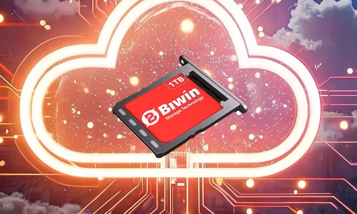 Không rõ liệu Mini SSD của Biwin có phải là một tiêu chuẩn thực sự mà các nhà sản xuất thiết bị lưu trữ khác có thể dễ dàng áp dụng hay không. Tuy nhiên, công ty đang tiếp thị sản phẩm này cho máy tính xách tay, máy tính bảng, điện thoại, máy ảnh và nhiều thiết bị khác, với khe cắm riêng hoạt động giống hệt như khe cắm thẻ SIM trên điện thoại thông minh: cắm một chiếc ghim vào để tháo khay.