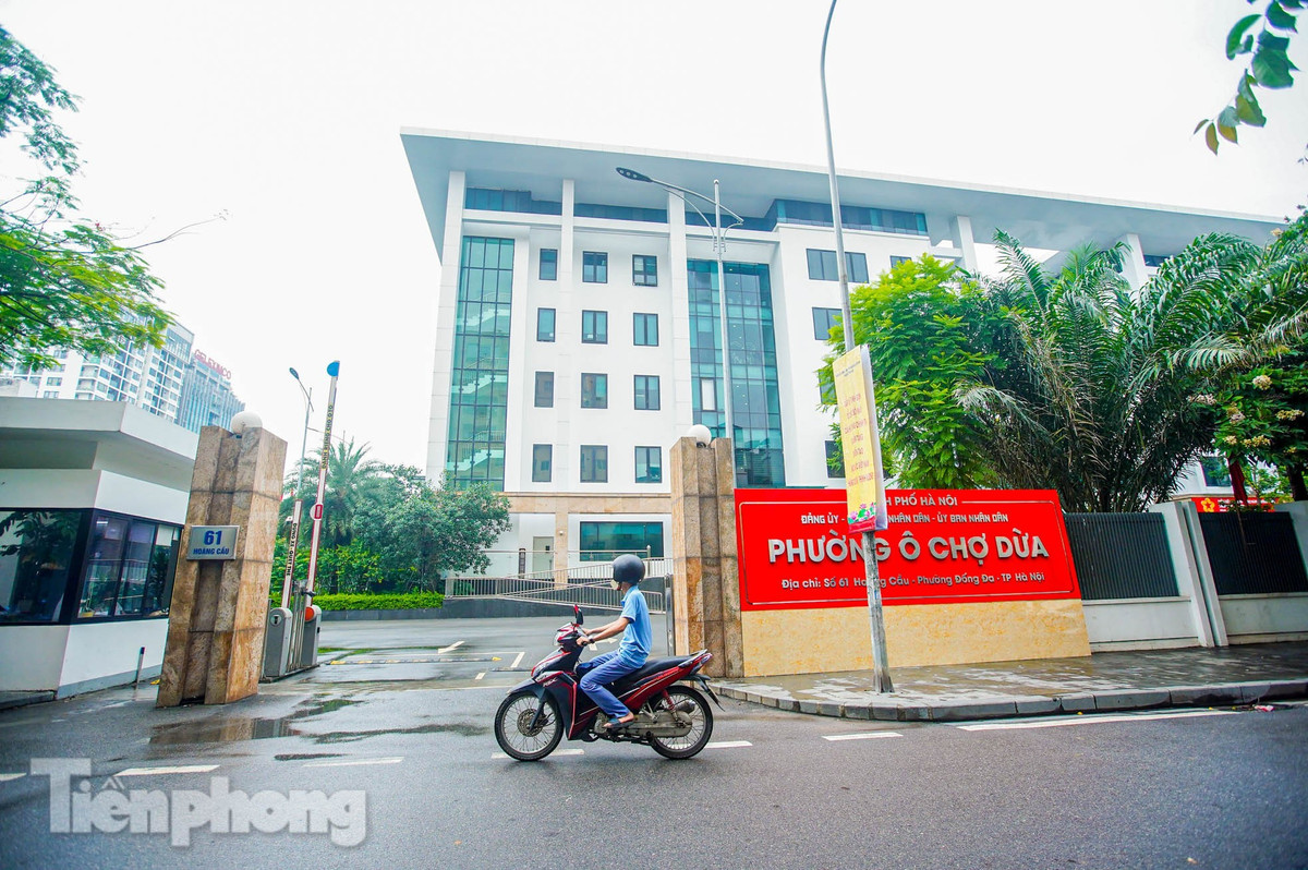 Phường Ô Chợ Dừa được thành lập trên cơ sở nhập phần lớn diện tích tự nhiên và dân số của các phường: Ô Chợ Dừa, Hàng Bột, Cát Linh (quận Đống Đa); một phần diện tích tự nhiên và dân số của các phường: Văn Miếu - Quốc Tử Giám, Trung Liệt (quận Đống Đa), Thành Công, Điện Biên (quận Ba Đình).