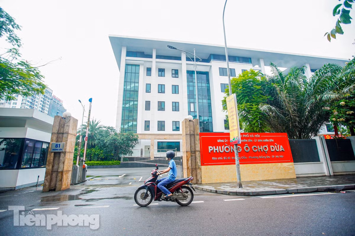 Phường Ô Chợ Dừa được thành lập trên cơ sở nhập phần lớn diện tích tự nhiên và dân số của các phường: Ô Chợ Dừa, Hàng Bột, Cát Linh (quận Đống Đa); một phần diện tích tự nhiên và dân số của các phường: Văn Miếu - Quốc Tử Giám, Trung Liệt (quận Đống Đa), Thành Công, Điện Biên (quận Ba Đình).