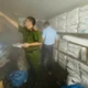 "Đột kích" lô hàng mực ống trôi nổi ở Quảng Ninh