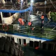 Chìm tàu ở Quảng Ninh, đã tìm thấy 35 thi thể