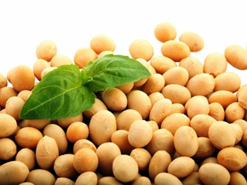Đậu tương. Do có chứa thành phần isoflavonoid tự nhiên(chúng hoạt động như estrogen) nên đậu tương giúp cải thiện nồng độ hoóc môn, từ đó giảm khô “tam giác vàng”. Một nghiên cứu ở 50 phụ nữ có những triệu chứng tiền mãn kinh, bao gồm cả trào huyết, và khô âm đạo, họ được cho sử dụng 140mg isoflavonoid thực vật hoặc giả dược trong 8 tuần.