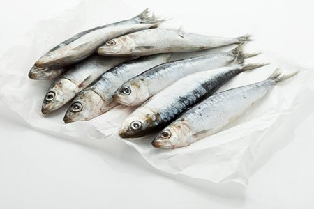 Cá mòi. Cá mòi rất giàu protein và canxi. Đặc biệt, canxi trong cá mòi rất dễ tiêu hóa và hấp thụ, có lợi cho sự phát triển của trẻ em.