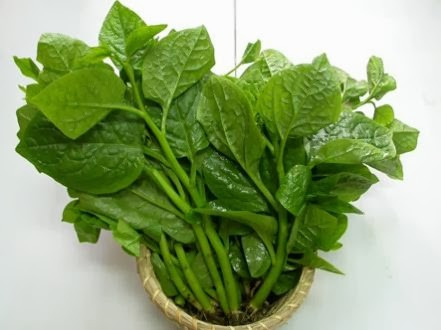 Thực phẩm kích thích sự ngon miệng: Cần chọn các loại rau mát và nhiều vitamin như mồng tơi, rau dền, rau đay... bởi chúng có tác dụng kích thích cảm giác ngon miệng của trẻ. Ngoài ra, kẽm cũng có tác dụng kích thích sự ngon miệng. Một số thực phẩm mùa hè có chứa kẽm nên bổ sung cho trẻ nhỏ như đậu Hà Lan, đậu nành, thịt nạc, sò, tôm, cua, bột mì, gan..
