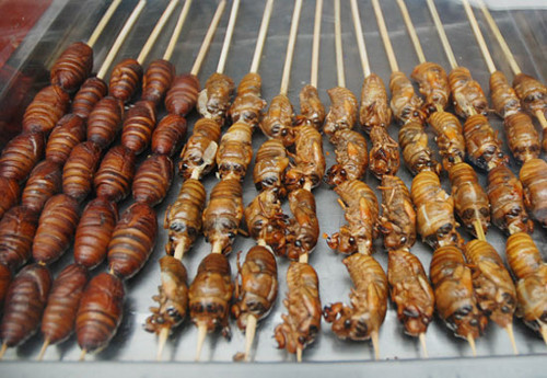 Côn trùng rang. Việc ăn những con dế, cà cuống, bò cạp hay thậm chí nhện có thể làm nhiều người rùng mình ngay từ khi nghĩ đến. Thế nhưng côn trùng rang lại là một món snack vừa lạ, vừa quái, vừa ngộ tại Phnom Penh. Món ăn dân dã này khi vào miệng vị ngầy ngậy thơm thơm, béo béo, rất thú vị.