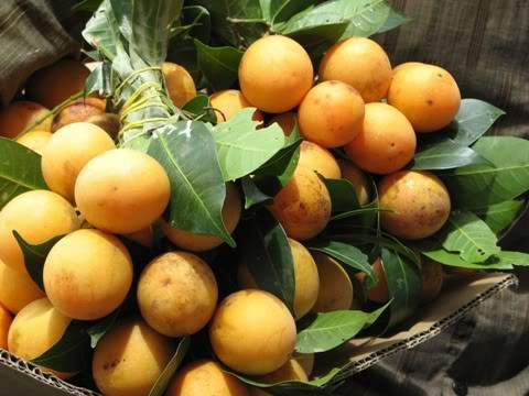 Trà chiết xuất từ quả sơn trà. Trà quả sơn trà giúp bảo vệ mắt, tăng cường thị lực, chống khô mắt, chống tình trạng tăng nhãn áp, phòng ngừa bệnh đục thủy tinh thể, làm đẹp da...