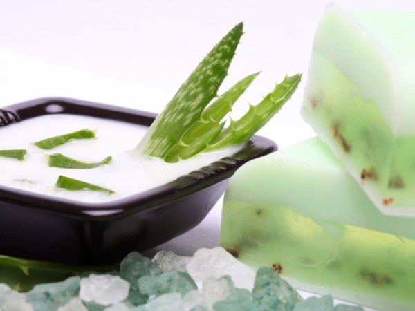 Tinh dầu lô hội. Chắc hẳn ai cũng đã biết hiệu quả dưỡng da của Lô hội là rất cao nhưng ngoài ra nó còn là một loại tinh dầu dùng để dưỡng tóc, chữa rụng tóc vô cùng tuyệt vời. Bạn hãy dùng chất gel có trong cây Lô hội thoa đều lên phần tóc mỏng, chờ trong 15p đến 30p kèm theo nằm thư giãn (mục đích là cho tinh dầu thấm vào da) sau đó gội sạch. Hiệu quả chỉ trong 1 tháng nếu bạn thực hiện thường xuyên.
