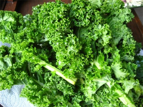 Vitamin D/canxi. Canxi giúp giảm nguy cơ của hội chứng kháng insulin và quá trình tích tụ chất béo. Bằng chứng cho thấy chế độ ăn uống giàu canxi giúp bạn tránh hiện tượng tăng cân ở tuổi trung niên bằng cách giảm dự trữ chất béo.