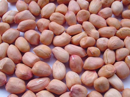 Lạc sống. Nhai vụn một vài hạt lạc sống trong miệng, không cần nuốt, sau đó dùng các mảnh vụn làm kem đánh răng đặc biệt. Phương pháp này cũng giúp răng trắng bóng tự nhiên với nụ cười không tỳ vết.