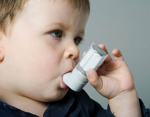 Điểm yếu là dễ bị hen suyễn. Một nghiên cứu tại Đại học Vanderbilt phát hiện ra rằng trẻ em sinh vào mùa thu có khả năng mắc bệnh hen suyễn cao hơn 30% so với trẻ sinh ra vào những thời điểm khác trong năm. Các nhà khoa học cho rằng, có thể vì trẻ được sinh ra ngay trước khi mùa đông, khi cảm lạnh và khả năng nhiễm vi rút ở mức cao khiến các con dễ bị tổn thương khi hệ thống miễn dịch kéo theo nguy cơ hen suyễn.