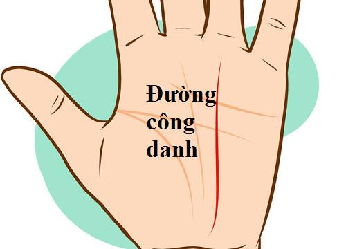 Đường công danh nhiều nhưng phân nhánh. Đường công danh là một đường vân dài song song với đường vận mệnh. Đường công danh xuất phát từ ngón áp út và có thể kéo dài tới cuối lòng bàn tay.