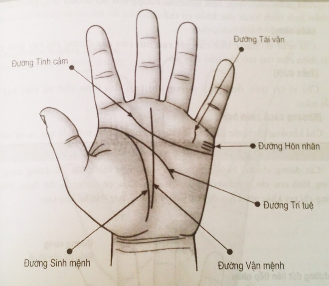 Đường này có liên quan đến sự nghiệp, công việc, tham vọng và định hướng trong cuộc sống. Người sở hữu đường vận mệnh đứt đoạn, hình dạng không có quy tắc thường làm việc đại khái, qua loa, không tới nơi tới chốn, dễ bỏ cuộc giữa chững vì thế mà vận thế cuộc đời cũng bị ảnh hưởng.