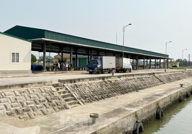 Dự án nâng cấp, mở rộng cảng cá Cửa Hội được Bộ NN&amp;PTNT phê duyệt tại Quyết định 3645/QĐ-BNN-TCTS ngày 9/9/2015 với tổng mức đầu tư lên đến gần 108 tỷ đồng. Trong đó, nhà phân loại hải sản là hạ tầng kiến trúc quan trọng trong hệ thống dịch vụ bến cảng.