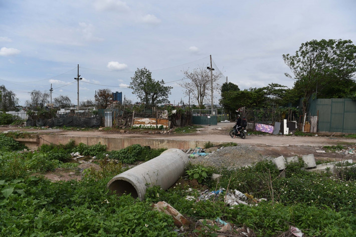 ...cây dại phủ kín.