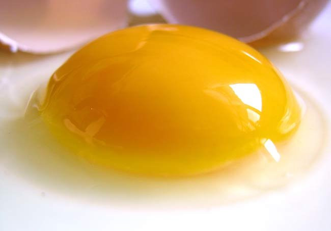 Vitamin E. Vitamin E giúp cơ thể khỏe mạnh tăng sức đề kháng. Đặc biệt vitamin E rất tốt cho phổi và giúp ngăn chặn các mô cơ thể khỏi các tác nhân có hại bên ngoài. Bổ sung vitamin E con sẽ có da dẻ hồng hào trắng đẹp. Vitamin E có chủ yếu trong dầu thực vật, các loại ngũ cốc, rau xanh, đậu/đỗ, thịt, lòng đỏ trứng.