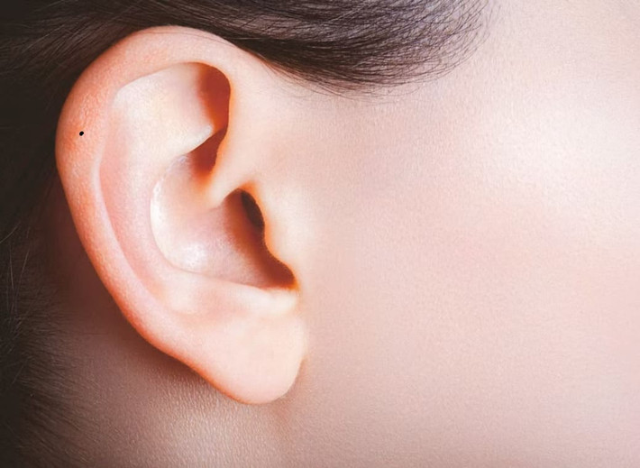 Bởi nhờ tính cách nổi trội nên những người này rất dễ thu hút ánh nhìn từ những người khác phái xung quanh, thậm chí còn dễ được nhiều chàng trai thành đạt để ý và hết mực nuông chiều.