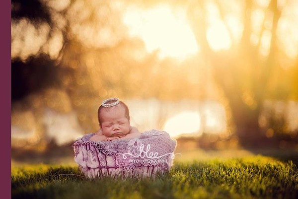 Có gì bình yên hơn giấc ngủ giữa thiên nhiên yên bình.