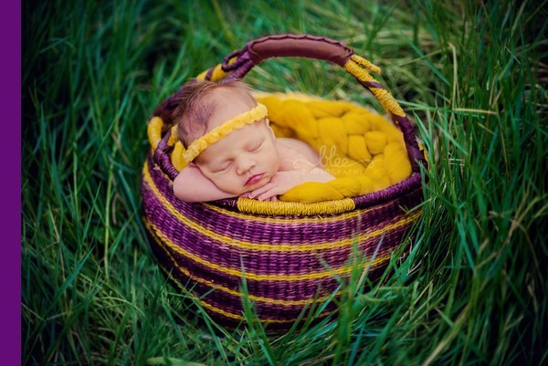 Giấc ngủ xanh mướt trên đồng cỏ.