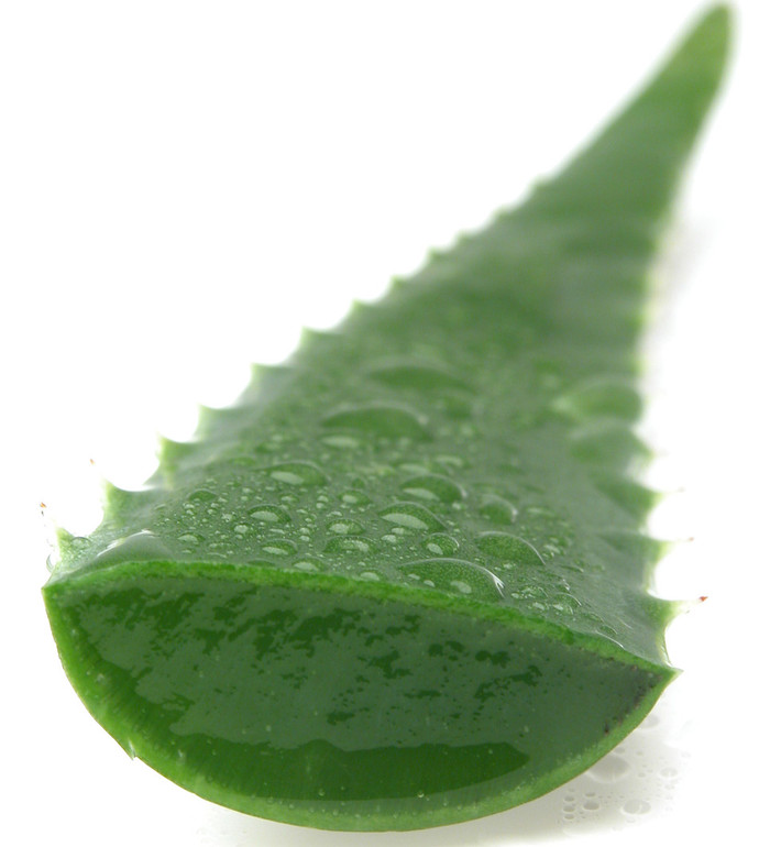Lô hội. Ứng dụng của gel lô hội luôn được sử dụng trong việc ngăn ngừa những vết thương mới hình thành và giảm mờ các vết sẹo vĩnh viễn. Vì thế, để làm mờ các vệt sẹo do mụn hoặc các vết sẹo do các thương tích khác, bạn hãy thoa tinh dầu lô hội trực tiếp lên làn da bị sẹo nhé.