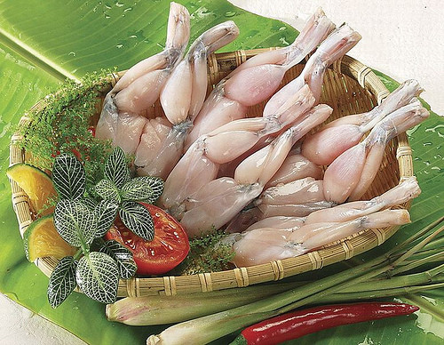 Ếch. Ở Việt Nam, ếch được chế biến thành rất nhiều món, chiên, nướng, làm lẩu... Vào những ngày mưa lớn đầu tiên của mùa mưa, đó là thời điểm những người dân đi săn những con cóc da mịn, đem về, và bỏ nào nồi đun sôi. Sau đó, họ loại bỏ phần dạ dày và tẩm ướp với chanh, muối, hạt tiêu làm nên một món ăn ngon tuyệt.