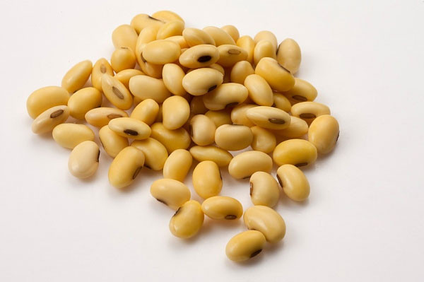 Đậu tương. Do có chứa thành phần isoflavonoid tự nhiên (chúng hoạt động như estrogen) nên đậu tương giúp cải thiện nồng độ hoóc môn, từ đó giảm khô “tam giác vàng”. Một nghiên cứu ở 50 phụ nữ có những triệu chứng tiền mãn kinh, bao gồm cả trào huyết, và khô âm đạo. Kết quả cho thấy những người dùng đậu tương đã cải thiện được đáng kể nồng độ estrogen, trào huyết và khô âm đạo.