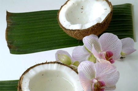 Cùi dừa. Nghiền nát vài mảnh cùi dừa, sau đó ép lấy nước và dùng để súc miệng khoảng 3 đến 4 lần mỗi ngày.
