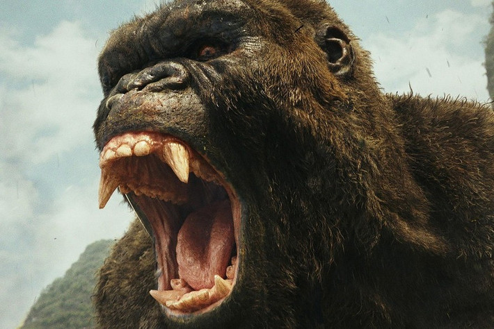 Hầu hết các bằng chứng về sự tồn tại của Bigfoot đều dựa trên lời kể của các nhân chứng. Tuy nhiên, những cuộc chạm trán với những sinh vật giống Bigfoot xuất hiện phổ biến ở Đông Nam Á.