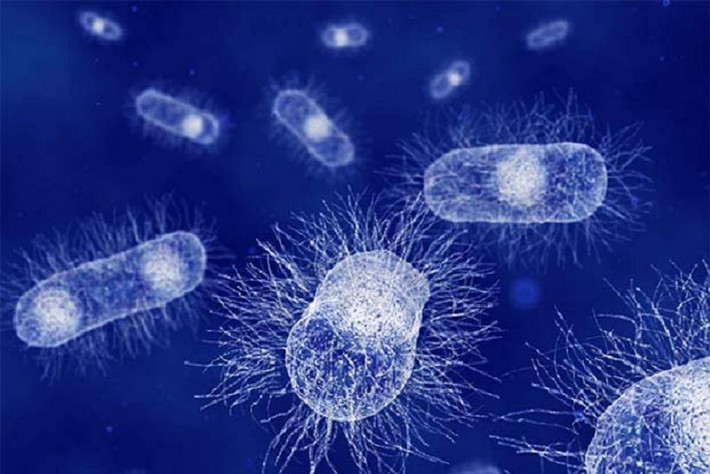 Không thường xuyên nhưng đôi khi người ta phát hiện thấy E. coli O157: H7 trên điện thoại. Đây là một trong những chủng e. coli nguy hiểm, gây đau bụng, tiêu chảy, ói mửa và đe dọa tính mạng bệnh nhân.