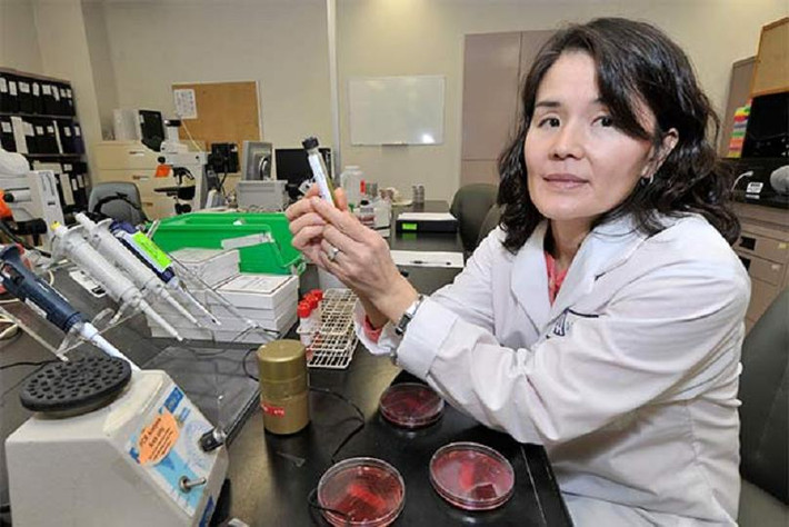 Các chuyên gia công nghệ khuyến nghị nên sử dụng dung dịch cồn và nước cất, phun vào một miếng vải mềm để loại bỏ các vi khuẩn bám trên điện thoại, trong đó có Clostridium difficile – thủ phạm gây các bệnh tiêu chảy, sốt, buồn nôn, đau bụng và chán ăn.