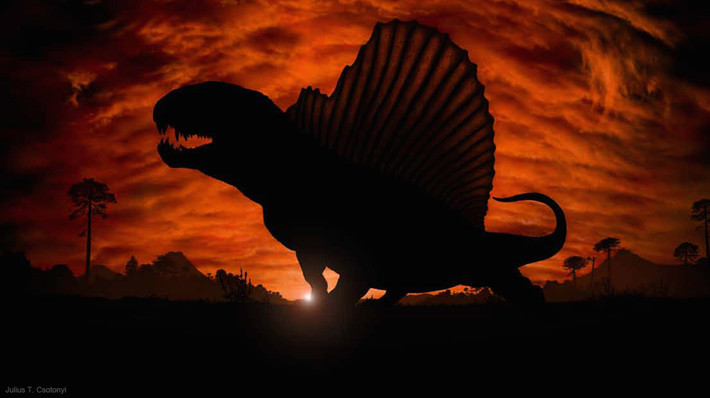 Khủng long Dimetrodon bắt đầu ngày mới ngay từ khi những tia nắng bình minh đầu tiên chiếu rọi.